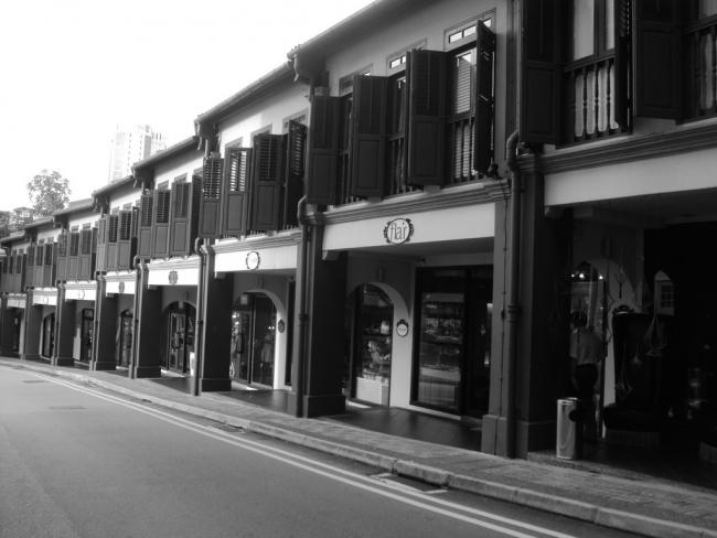 DSC02882_resize.JPG